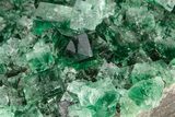 Fluorescent Green Fluorite Cluster - Diana Maria Mine, England #208847-3